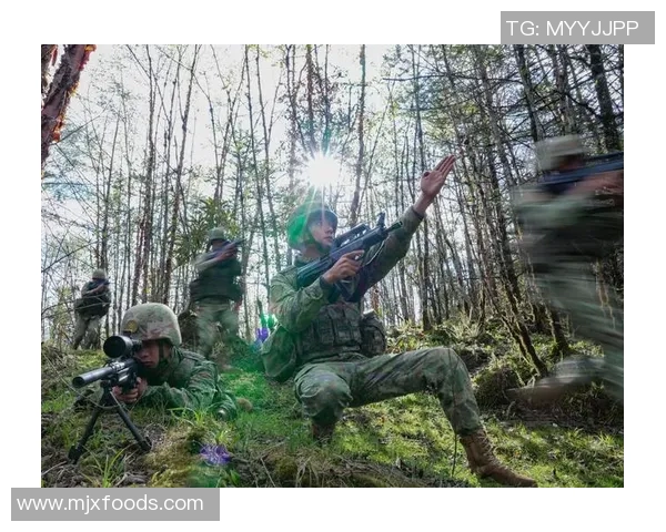 北京飞盘队边路渗透战术革新探索与实践分析